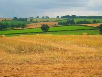 Agroturismo Little Cowarne Court