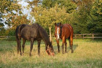 Bed & Breakfast Le Clos Marie