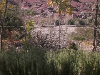 Bed & Breakfast Auberge Tigmmi N'tamazirte