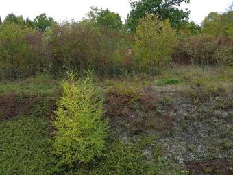 Bed & Breakfast Ma Cambuse Pr�s Giverny