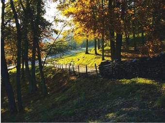 Bed & Breakfast Chambre D'h�tes Les Champarts