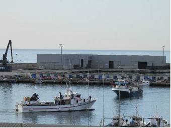 Hotel Mumm By Pillow