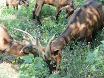 Agroturismo Agriturismo Serpanera