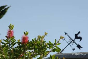 Agroturismo Country House La Cipolla D'oro