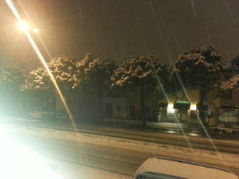 Bed & Breakfast Il Pioniere