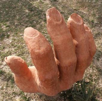 Agroturismo Country House La Celletta