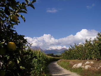 Aparthotel Residence Bar Pizzeria Sylvanerhof
