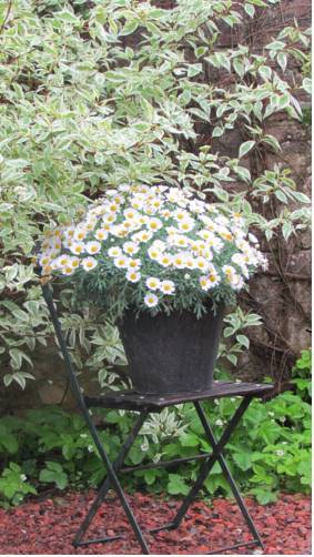 Apartamento G�te Le Jardin