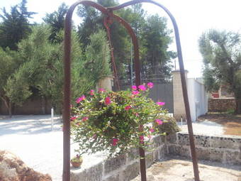 Agroturismo Tenuta Flora Maria