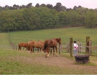 Bed & Breakfast Maison D'h�tes Du Domaine De Co�t Bihan