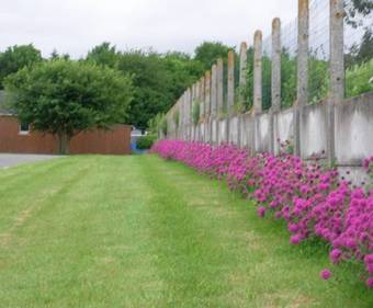 Bed & Breakfast Mamoucafecouette