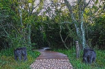 Hotel Sibuya Game Reserve And Lodge