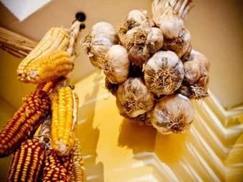 Agroturismo Casa Rural Rosa