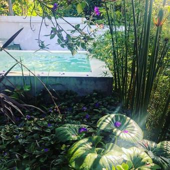 Bed & Breakfast De Companjie