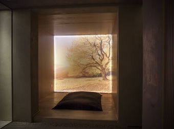 Hotel Saccardi Quadrante Europa