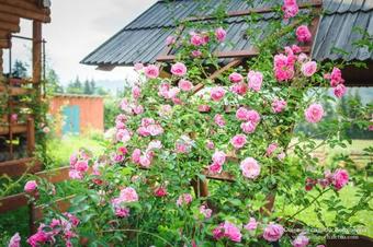 Hostal Sonyachna Sadyba