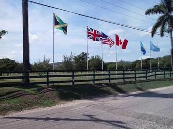 Apartamento Dreamy Haven