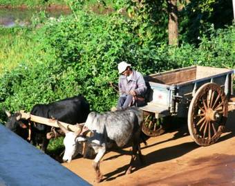 Apartamento Appartements D'h�tes Marciloui