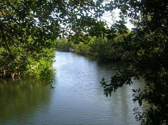 Apartamento Ed & Ellen's Lodging Big Pine Key