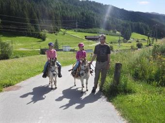 Homerez � Apartment Hof II