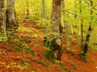 Hotel Alle Vecchie Arcate
