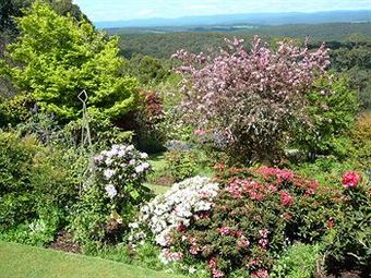 Bed & Breakfast Wanawong Retreat