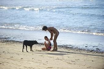 North Coast Holiday Parks Scotts Head