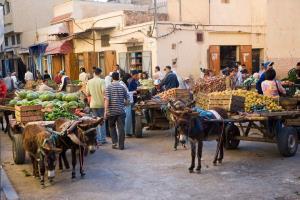 Hotel Ibis Moussafir Oujda