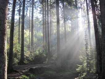 Hotel "schauinsland"