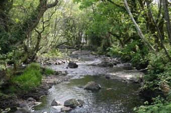Hostal Inverin Cottage