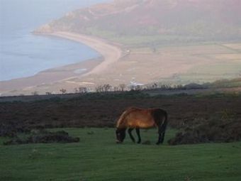 Ver fotos