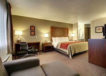 Hotel Comfort Inn Waverly