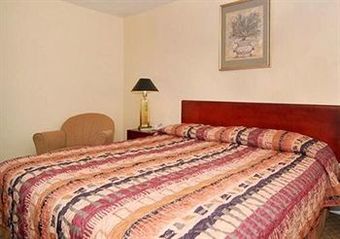 Motel Econo Lodge Jasper