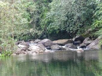 Hotel Sinharaja Adventure Resort