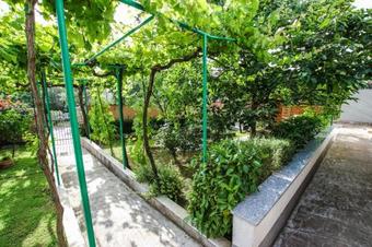 Apartments Vuceric