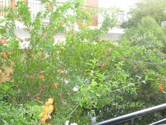 Apartamento Vicky Studios