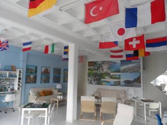 Hostal Homely Studios