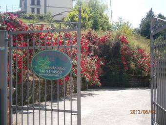 Hostal Affittacamere Sansina