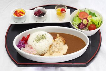 Jr Kyushu Hotel Miyazaki