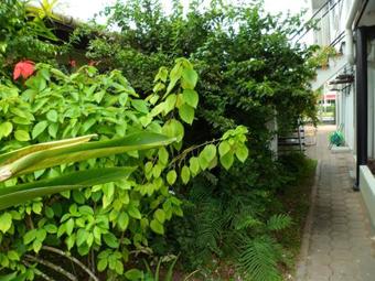 Hostal Guesthouse Amice