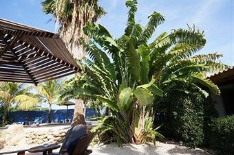 Hotel Caribbean Chillout