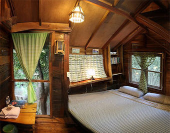 Hotel Rabeang Pasak Treehouse Resort