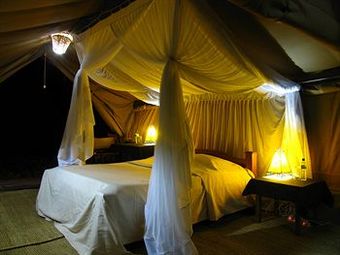 Posada Mapito Tented Camp