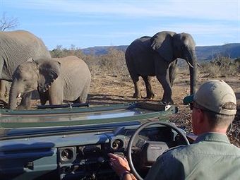 Posada Entabeni Safari Conservancy