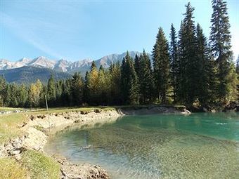 Posada Beaverfoot Lodge