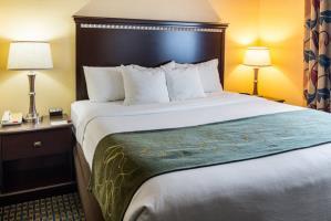 Hotel Comfort Suites Nacogdoches
