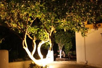 Apartamento Theofilos Appartements