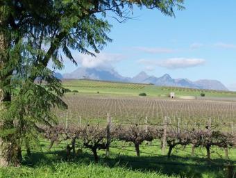 Agroturismo Jacaranda Wine And Guestfarm