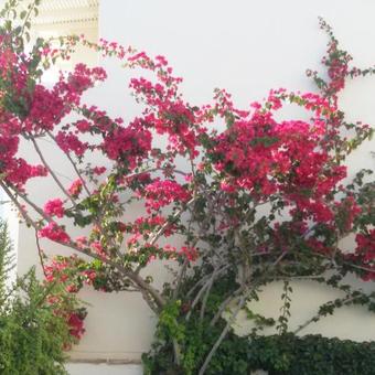 Iria Beach Art Hotel