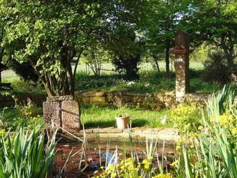 Hostal Gasthaus-pension Zum Brandweiher